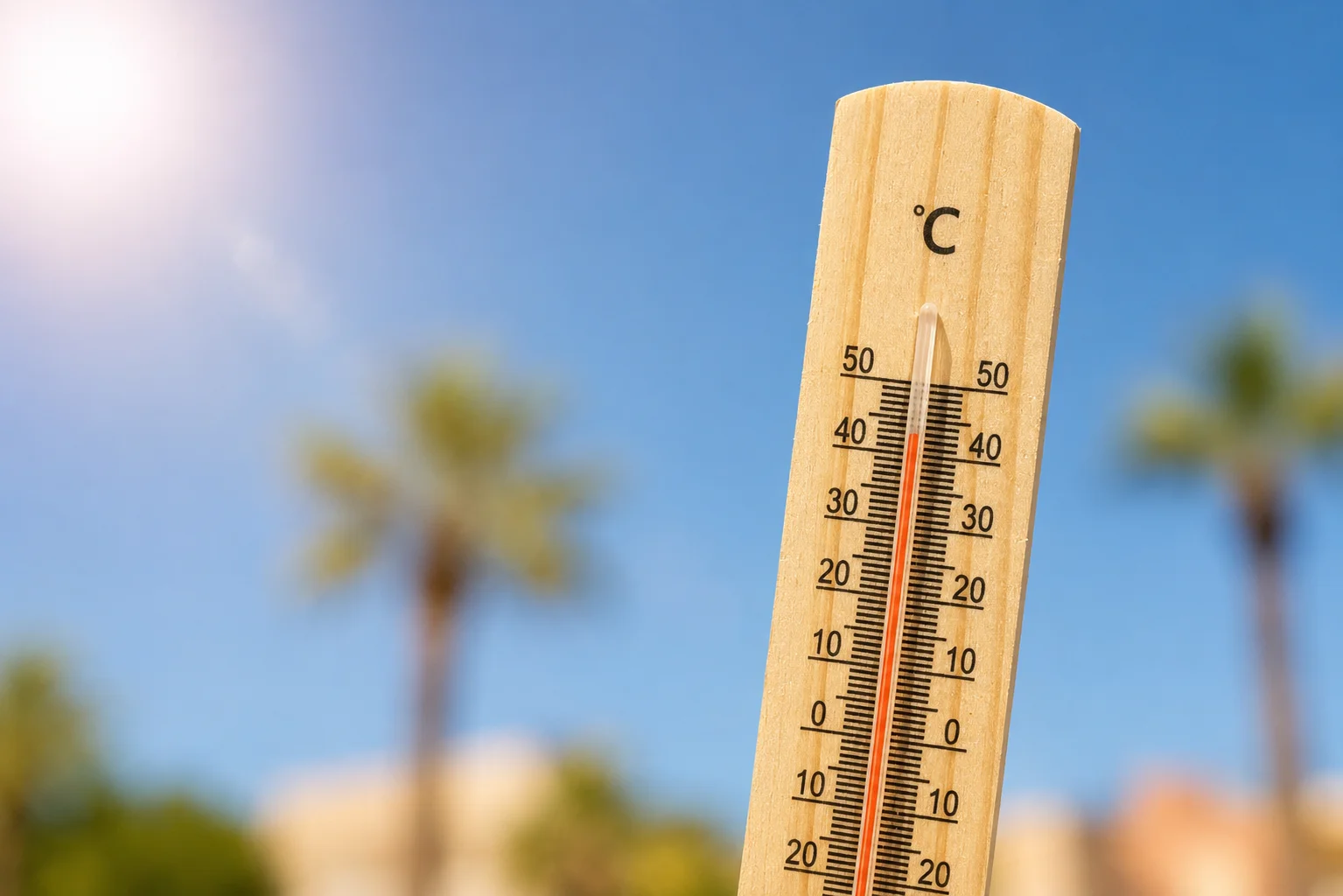 Conseils canicule : les bons gestes face aux fortes chaleurs