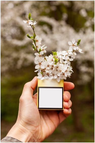 Les chiffres du tabac en France